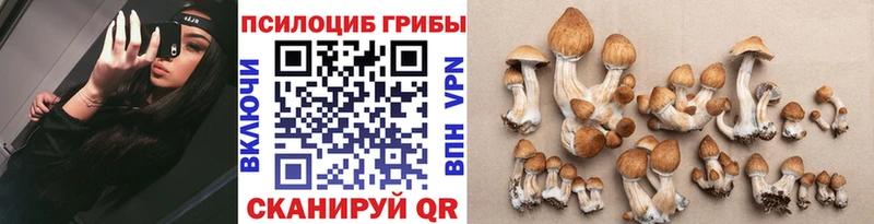 Галлюциногенные грибы мухоморы  KRAKEN как войти  Барыш  сколько стоит 